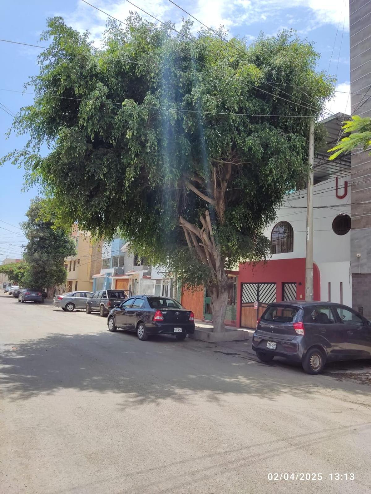 فندق D' Barrig تروخيو المظهر الخارجي الصورة